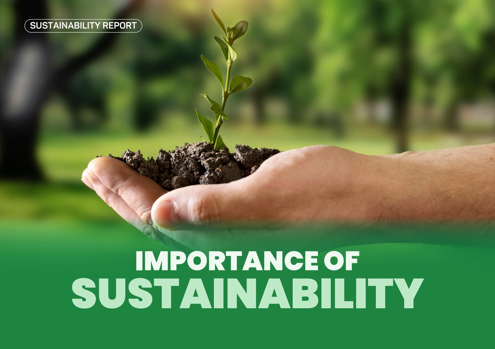 Sustainability Report Design